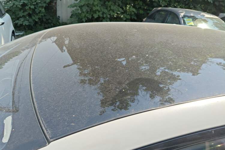 Used Baojun Cloud 2023 460 Max Roof