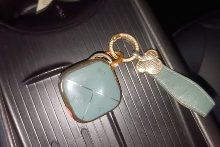 Used Baojun Cloud 2023 460 Max Vehicle Key