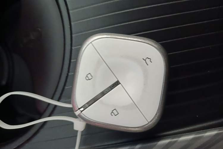 Used Baojun Cloud 2023 460 Max Vehicle Key