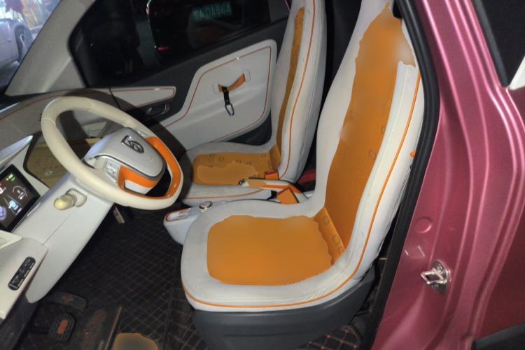 Used Baojun E100 2017 Intelligent Edition Left Front Seat