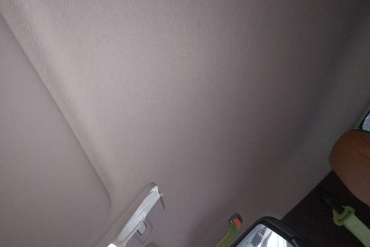 Used Baojun E100 2018 Intelligent Drive Edition Headliner