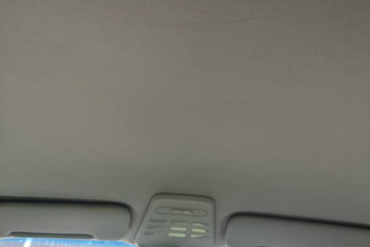 Used Baojun E100 2019 250KM Smart Drive Edition Headliner