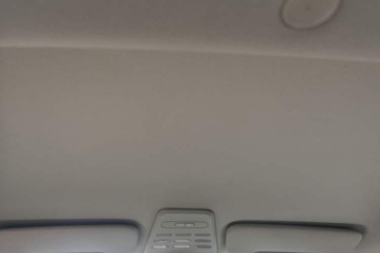 Used Baojun E100 2019 250KM Smart Enjoyment Version Headliner