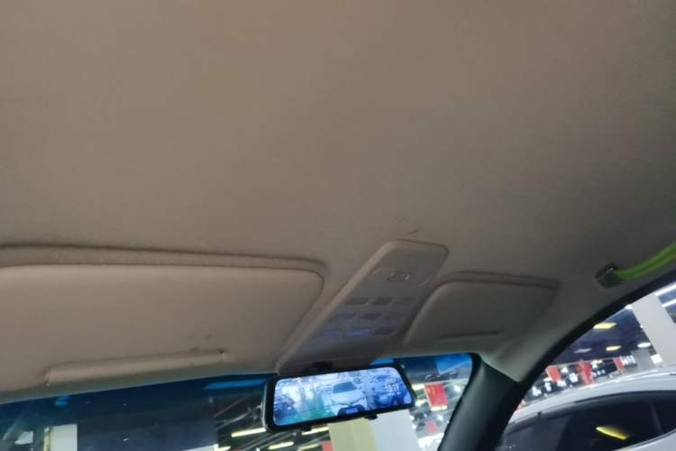 Used Baojun E100 2019 250KM Smart Drive Edition Headliner