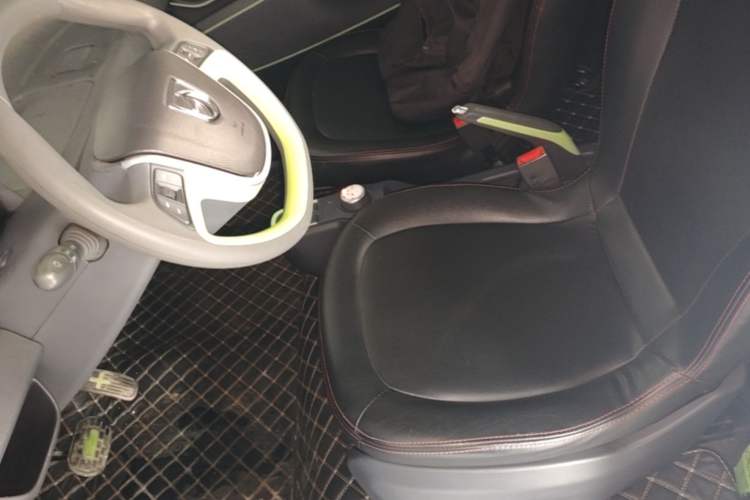 Used Baojun E100 2019 250KM Smart Drive Edition Left Front Seat