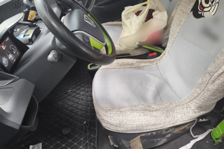 Used Baojun E100 2019 250KM Smart Drive Edition Left Front Seat