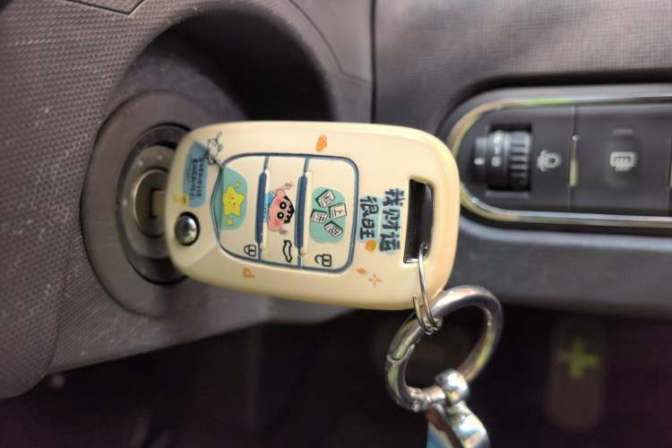 Used Baojun E100 2019 250KM Smart Drive Edition Vehicle Key