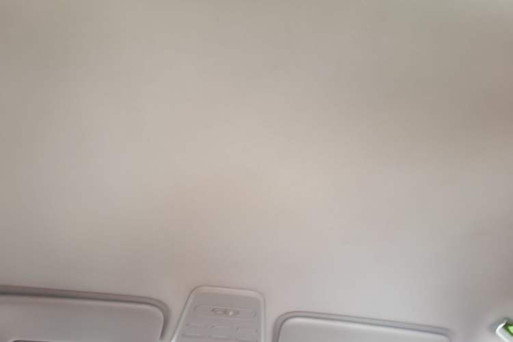 Used Baojun E100 2019 250KM Smart Drive Edition Headliner