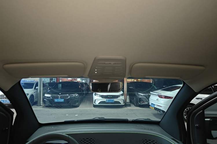 Used Baojun E100 2019 250KM Smart Drive Edition Headliner