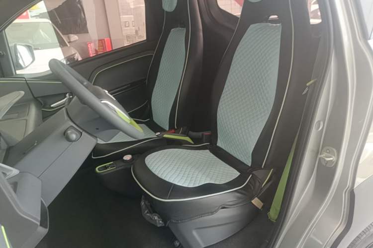Used Baojun E100 2019 250KM Smart Drive Edition Left Front Seat