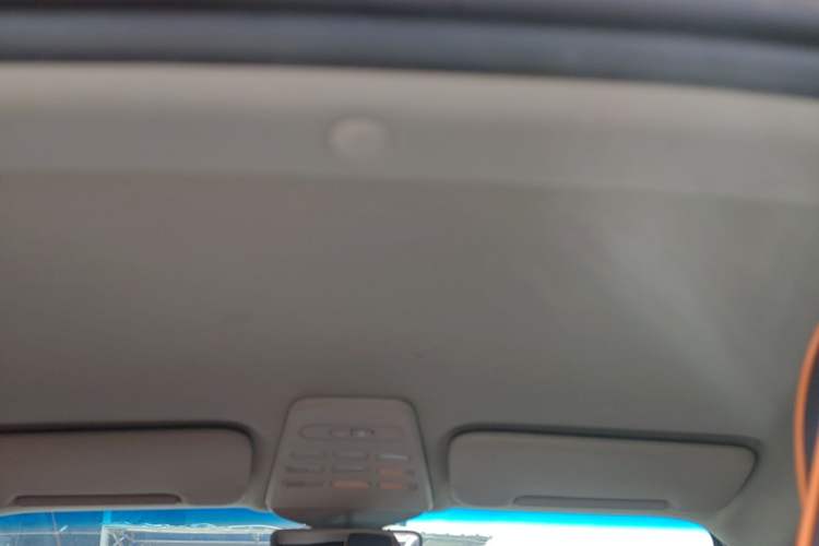 Used Baojun E100 2019 250KM Smart Drive Edition Headliner