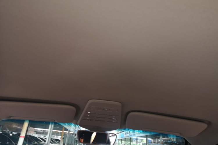 Used Baojun E100 2019 250KM Smart Drive Edition Headliner