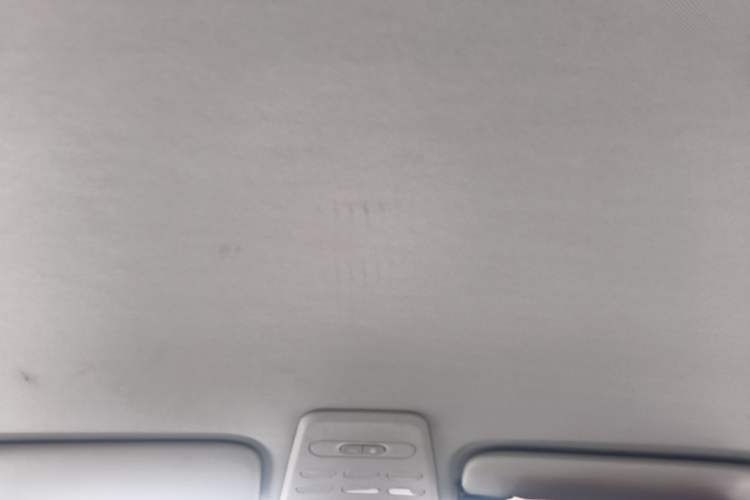 Used Baojun E100 2019 250KM Smart Drive Edition Headliner