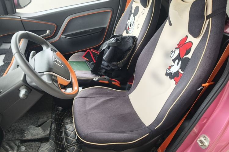 Used Baojun E100 2019 250KM Smart Drive Edition Left Front Seat