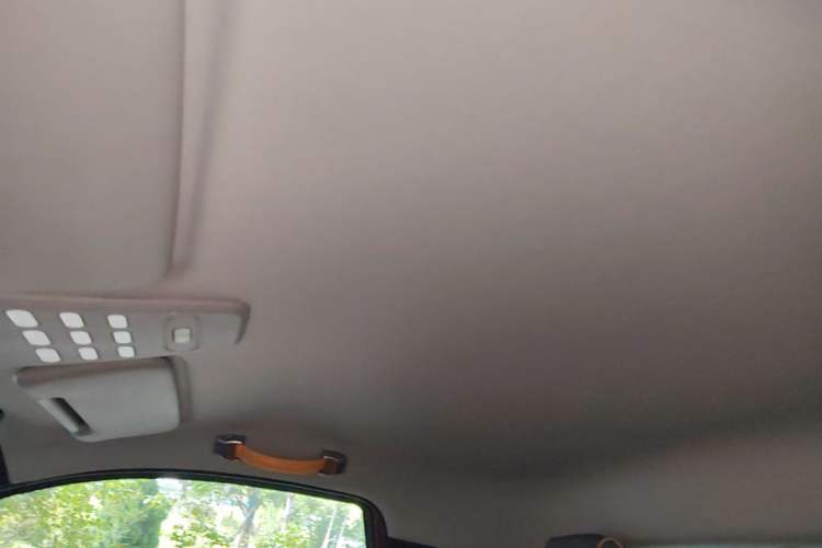 Used Baojun E100 2019 250KM Smart Drive Edition Headliner
