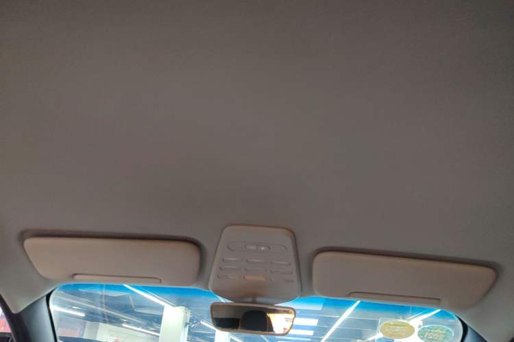 Used Baojun E100 2019 250KM Smart Drive Edition Headliner