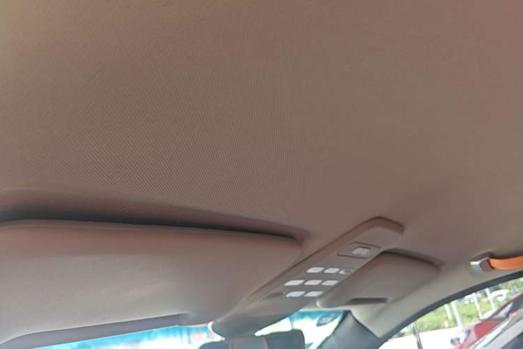 Used Baojun E100 2019 250KM Smart Drive Edition Headliner