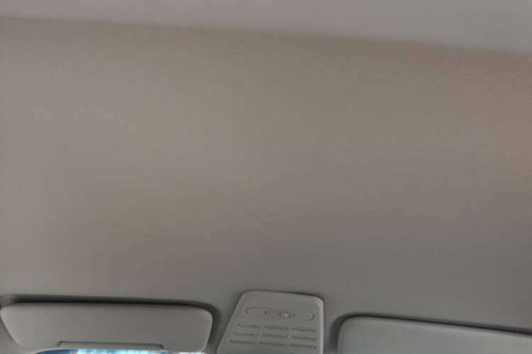 Used Baojun E100 2019 250KM Smart Drive Edition Headliner