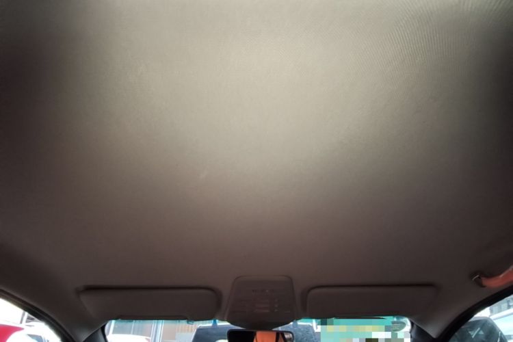 Used Baojun E100 2019 250KM Smart Drive Edition Headliner