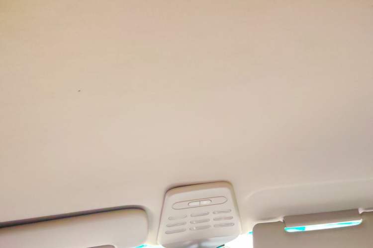 Used Baojun E100 2019 250KM Smart Drive Edition Headliner