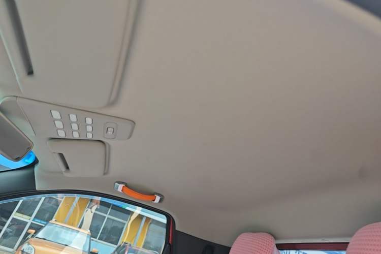 Used Baojun E100 2019 250KM Smart Drive Edition Headliner