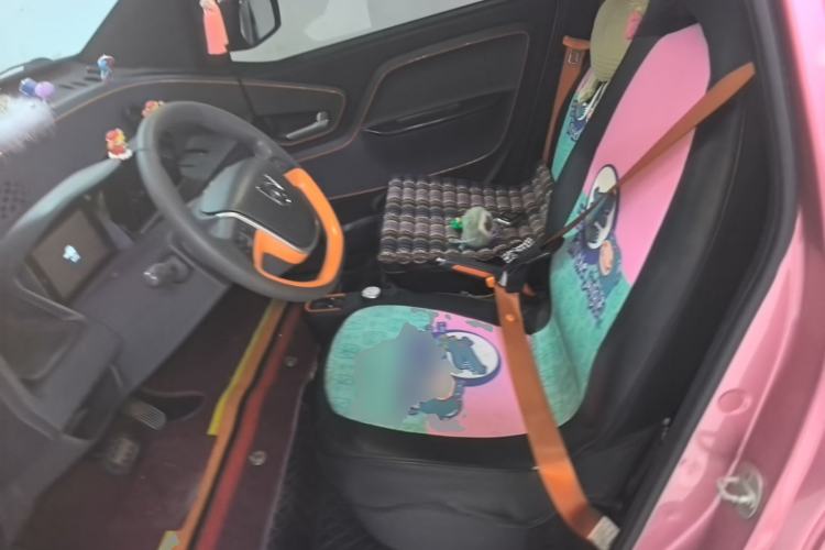 Used Baojun E100 2019 250KM Smart Drive Edition Left Front Seat