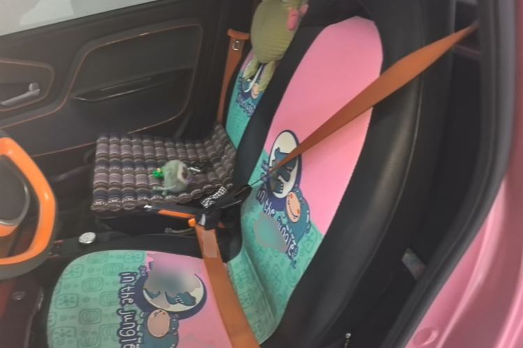 Used Baojun E100 2019 250KM Smart Drive Edition Left Rear Seat