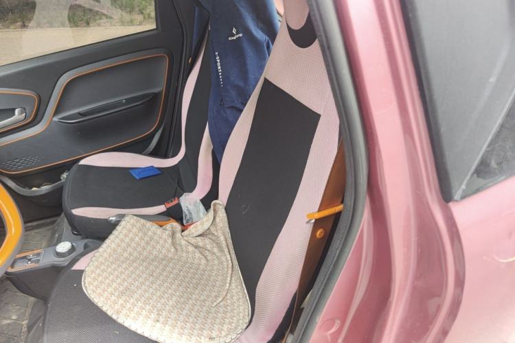 Used Baojun E100 2019 250KM Smart Drive Edition Left Rear Seat