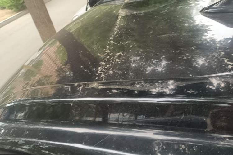 Used Baojun E100 2019 250KM Smart Drive Edition Roof