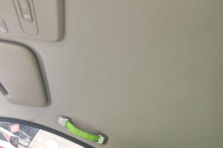 Used Baojun E100 2019 250KM Smart Drive Edition Headliner