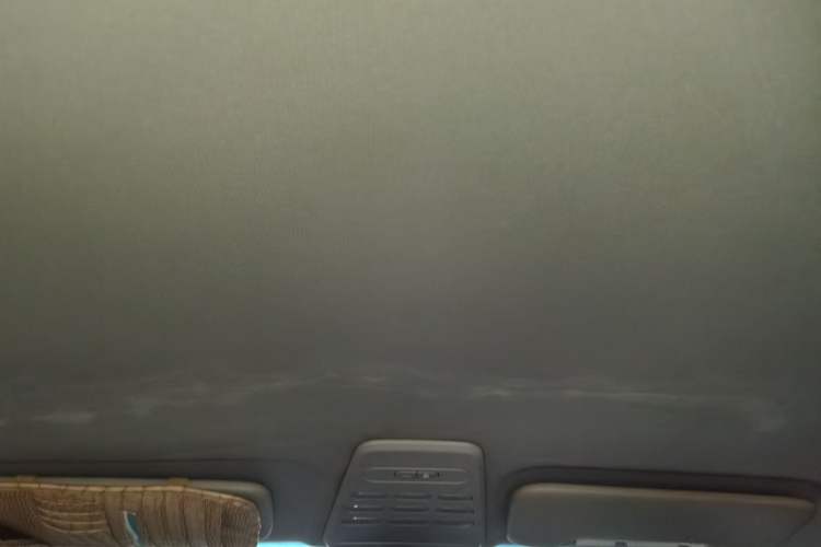 Used Baojun E100 2019 250KM Smart Drive Edition Headliner