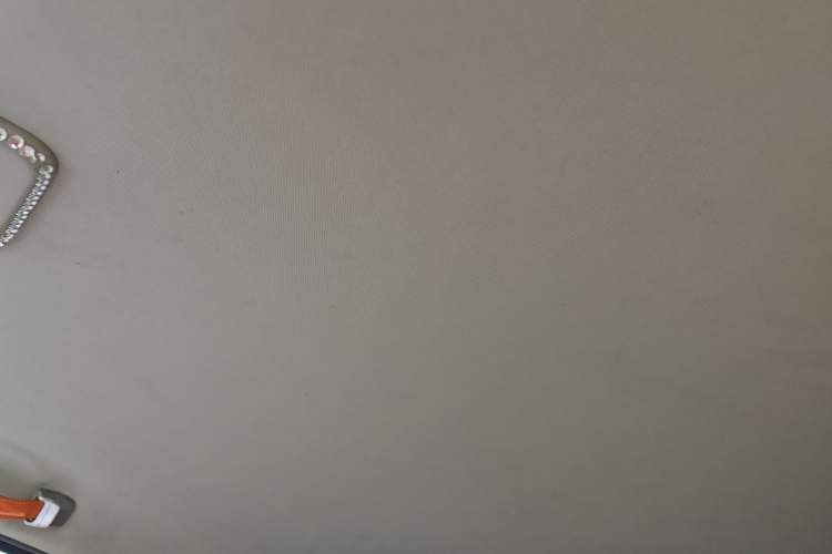 Used Baojun E100 2019 250KM Smart Drive Edition Headliner