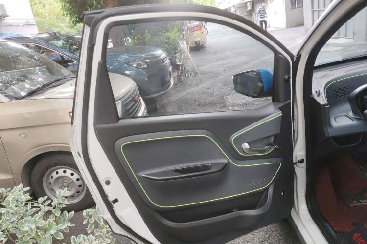 Used Baojun E100 2019 250KM Smart Drive Edition Left Front Door Interior