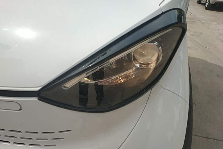 Used Baojun E100 2019 250KM Smart Drive Edition Left Front Headlight