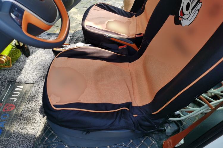 Used Baojun E100 2019 250KM Smart Drive Edition Left Front Seat