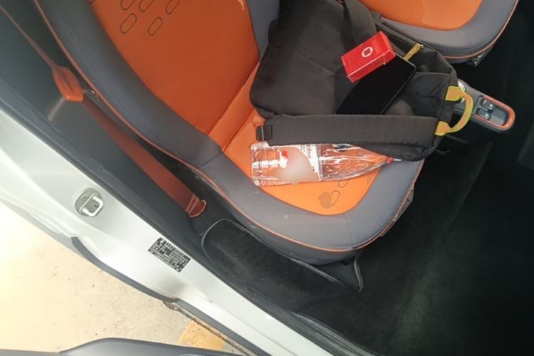 Used Baojun E100 2019 250KM Smart Drive Edition Right Front Seat