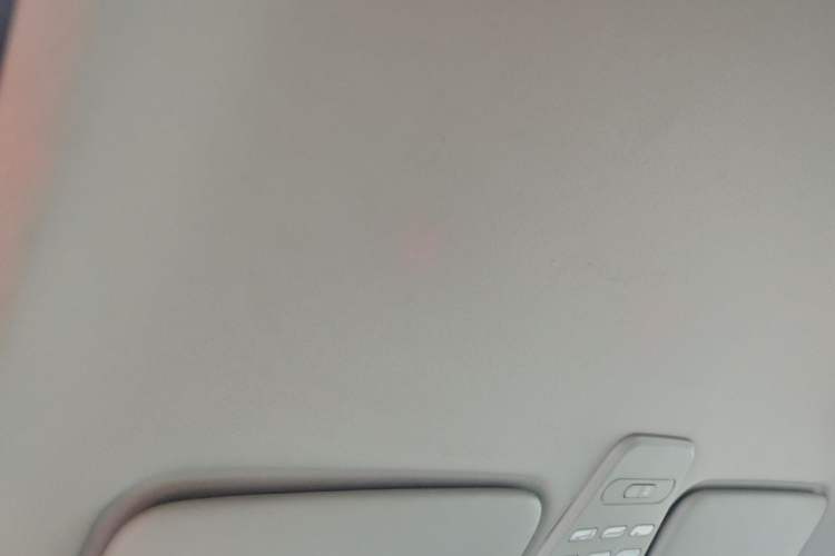 Used Baojun E100 2020 305KM Smart Drive Version Headliner