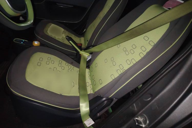 Used Baojun E100 2020 305KM Smart Drive Version Left Front Seat