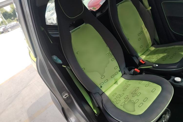 Used Baojun E100 2020 305KM Smart Drive Version Right Front Seat