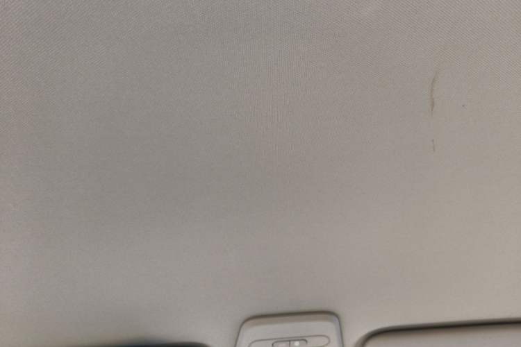 Used Baojun E100 2020 305KM Smart Drive Version Headliner