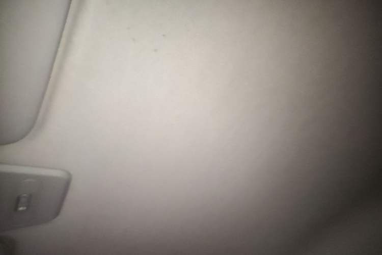 Used Baojun E100 2020 305KM Smart Drive Version Headliner