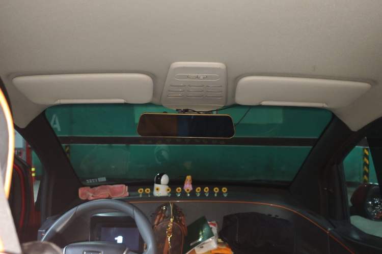 Used Baojun E100 2020 305KM Smart Drive Version Headliner