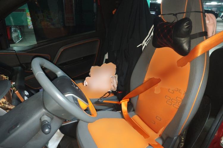Used Baojun E100 2020 305KM Smart Drive Version Left Front Seat