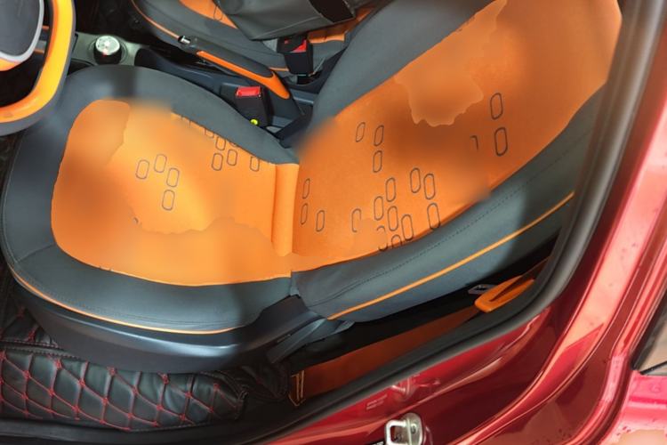 Used Baojun E100 2020 305KM Smart Drive Version Left Front Seat