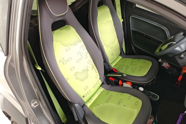 Used Baojun E100 2020 305KM Smart Drive Version Right Front Seat