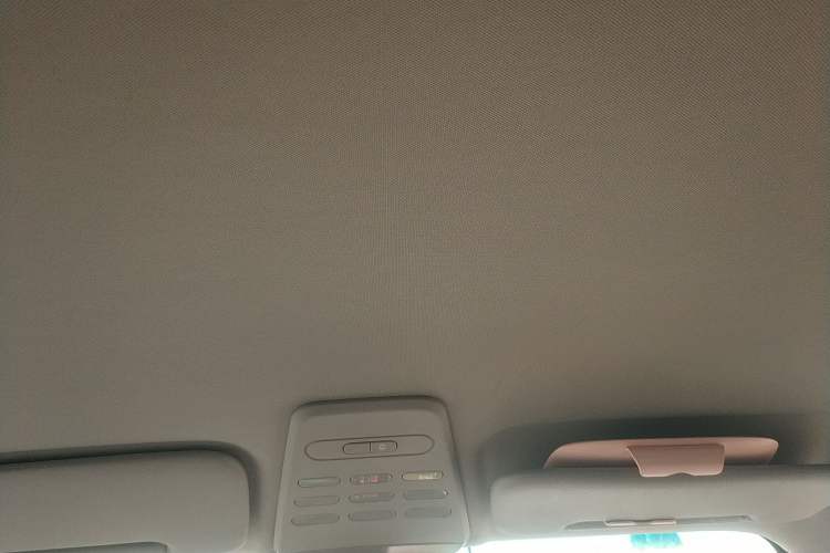 Used Baojun E100 2020 305KM Smart Drive Version Headliner