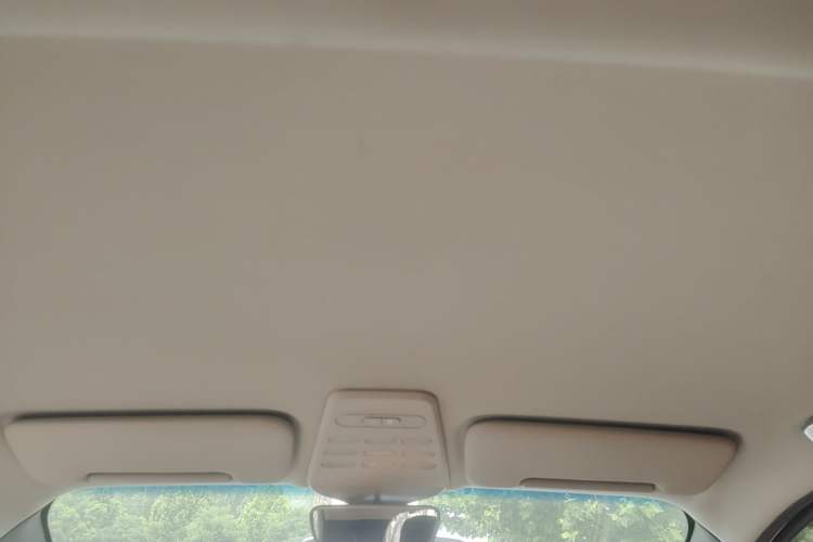 Used Baojun E100 2020 305KM Smart Drive Version Headliner
