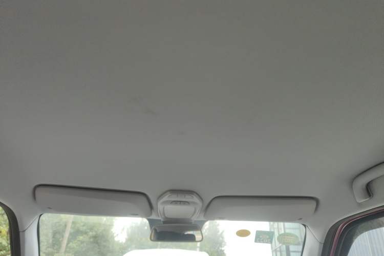 Used Baojun E200 2019 250KM Smart Drive Edition Headliner