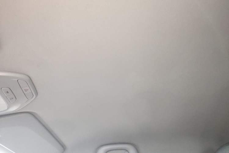 Used Baojun E200 2020 305KM Smart Drive Version Headliner
