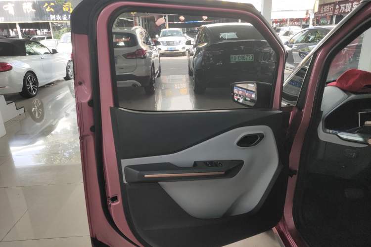 Used Baojun E200 2020 305KM Smart Drive Version Left Front Door Interior